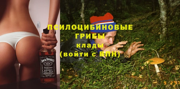 apvp Ленинск