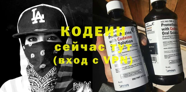 стаф Нефтегорск