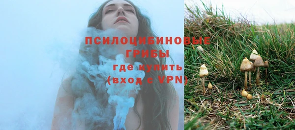 стаф Нефтегорск