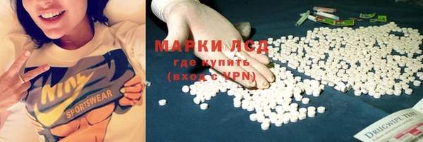стаф Нефтегорск