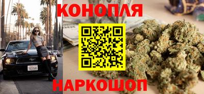 ALPHA PVP Гатчина