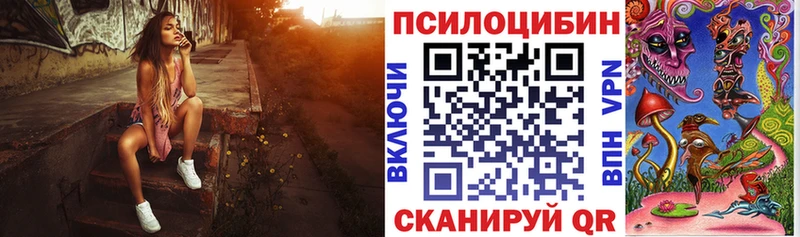 где купить наркоту  MEGA вход  Псилоцибиновые грибы GOLDEN TEACHER  Новодвинск 