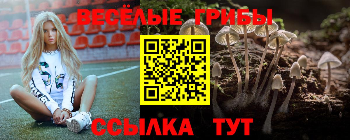 Новодвинск  закладки  Вход с VPN  Псилоцибиновые грибы MAGIC MUSHROOMS 