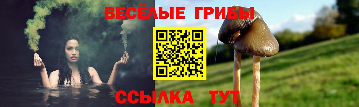 Псилоцибиновые грибы мухоморы  Новодвинск 