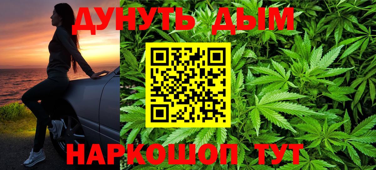 Бошки марихуана LSD WEED  Новодвинск  МАРИХУАНА семена  Марихуана индика  МАРИХУАНА SATIVA & INDICA 